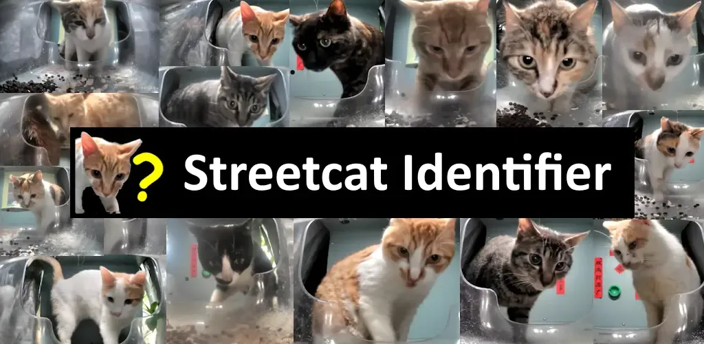 Streetcat Identifier Banner